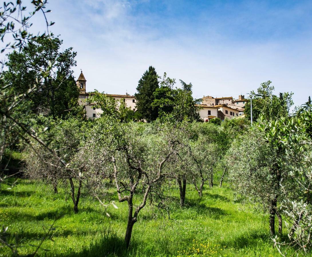 Tuscan Retreat Orciatico Eksteriør billede